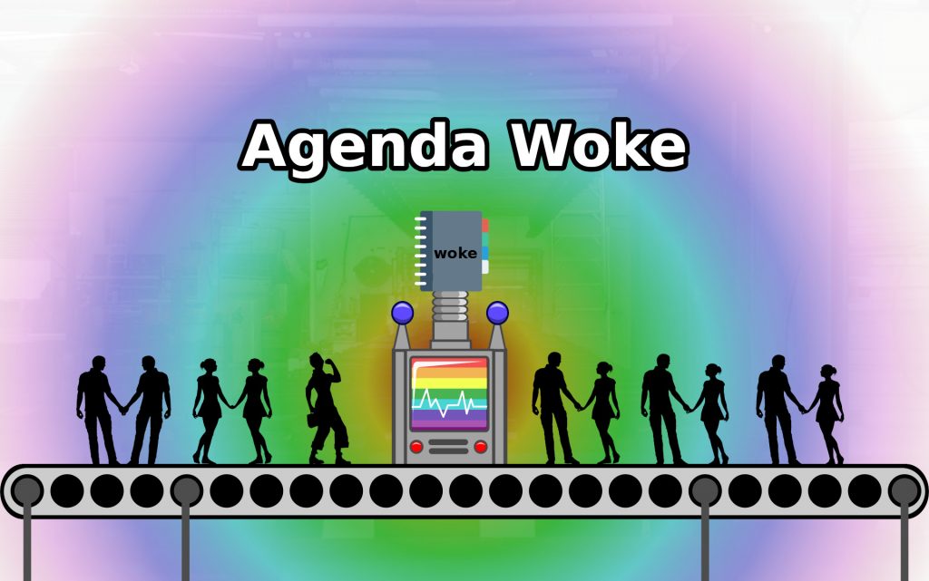 What Is A woke Agenda Seletronic