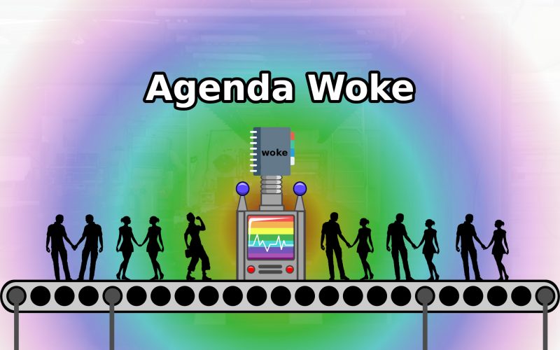 What is a ‘woke agenda’?